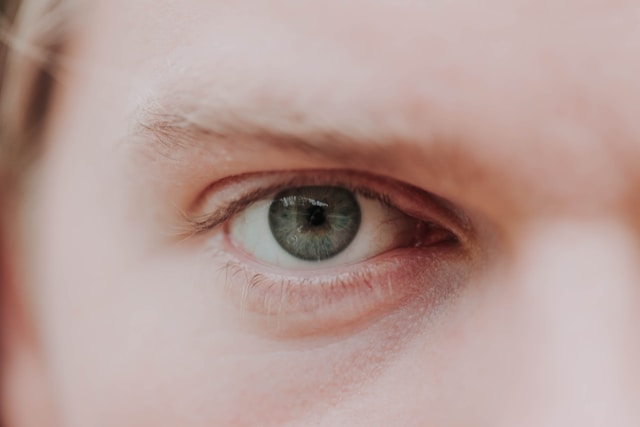 Как устроен глаз?